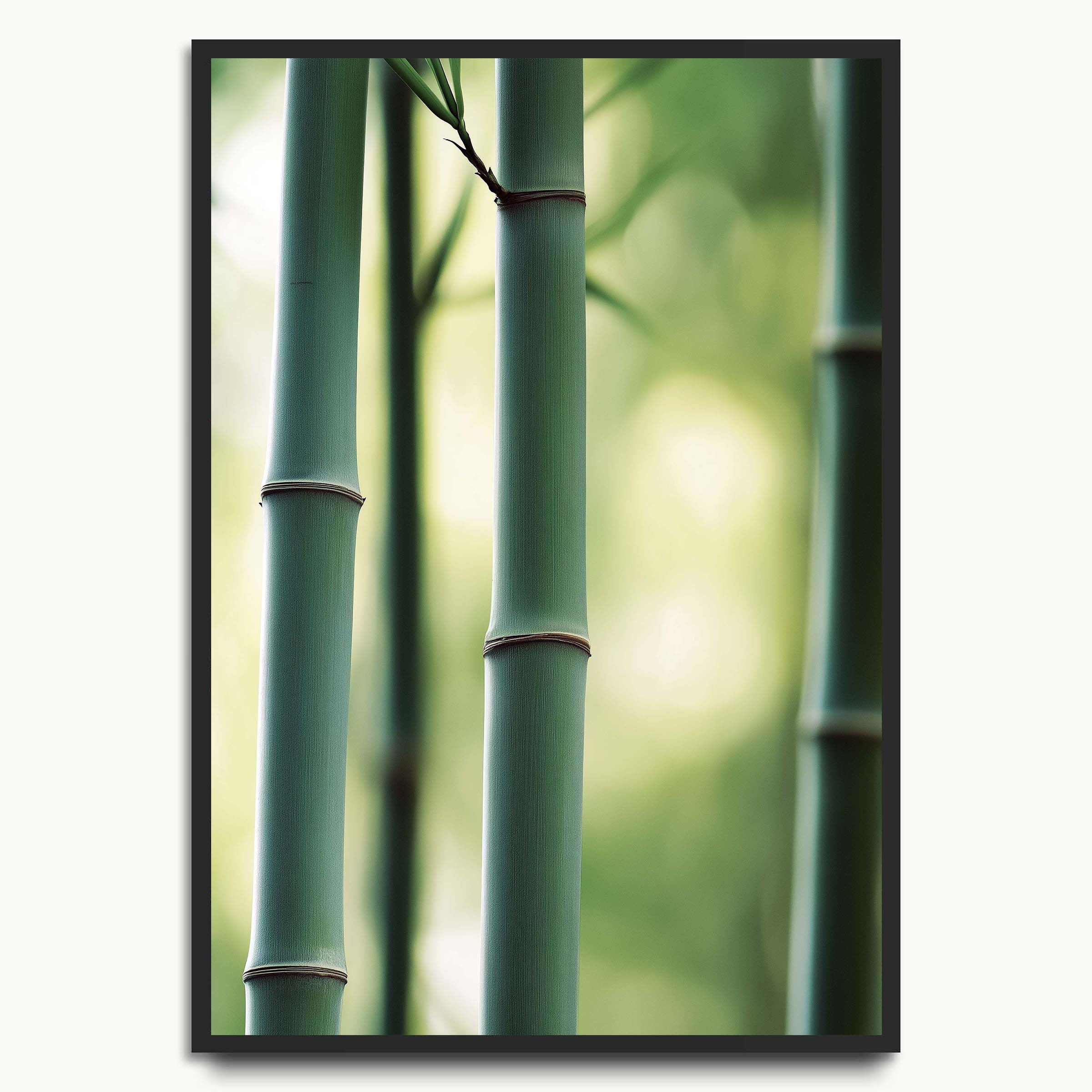 Bamboo Culms