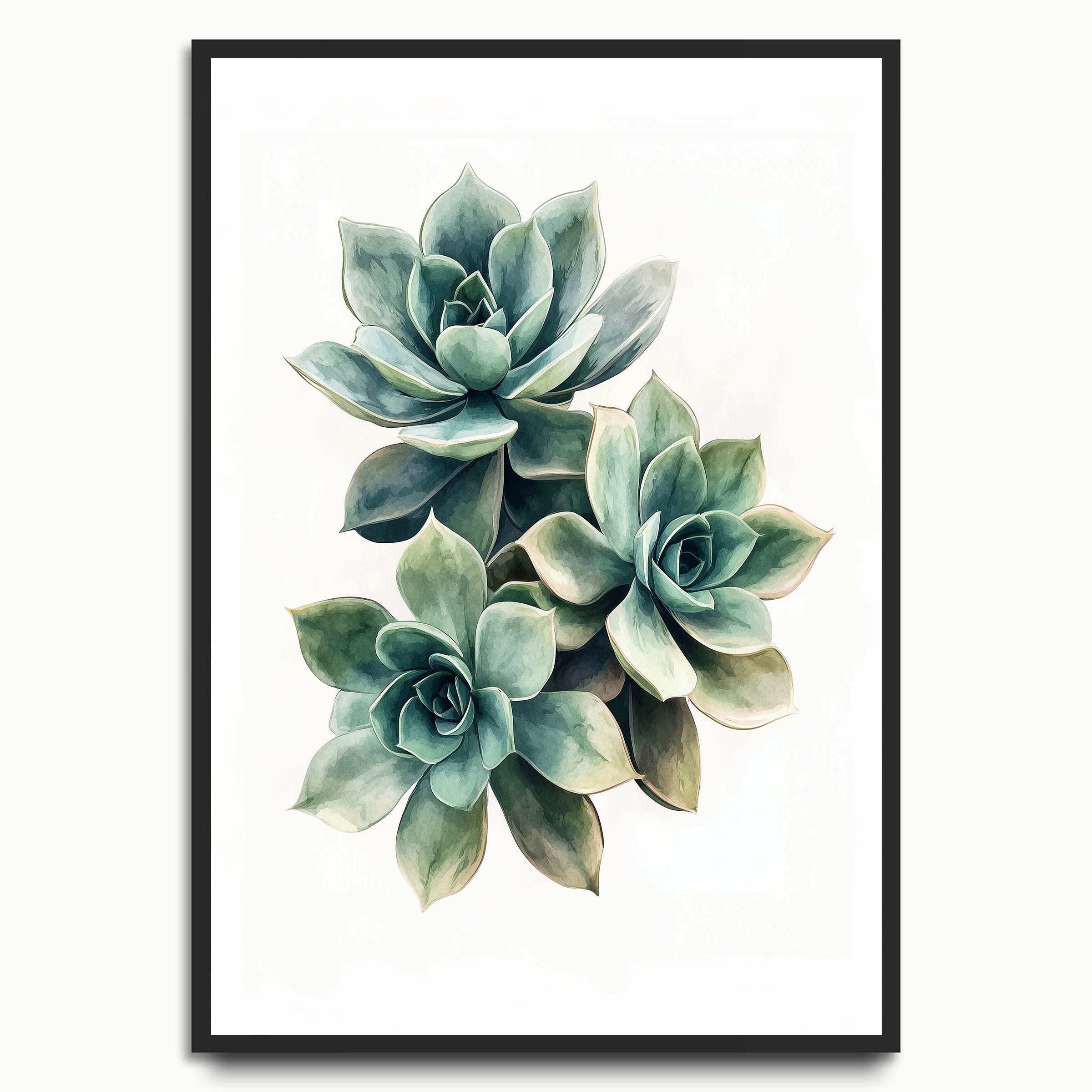 Succulent Trio