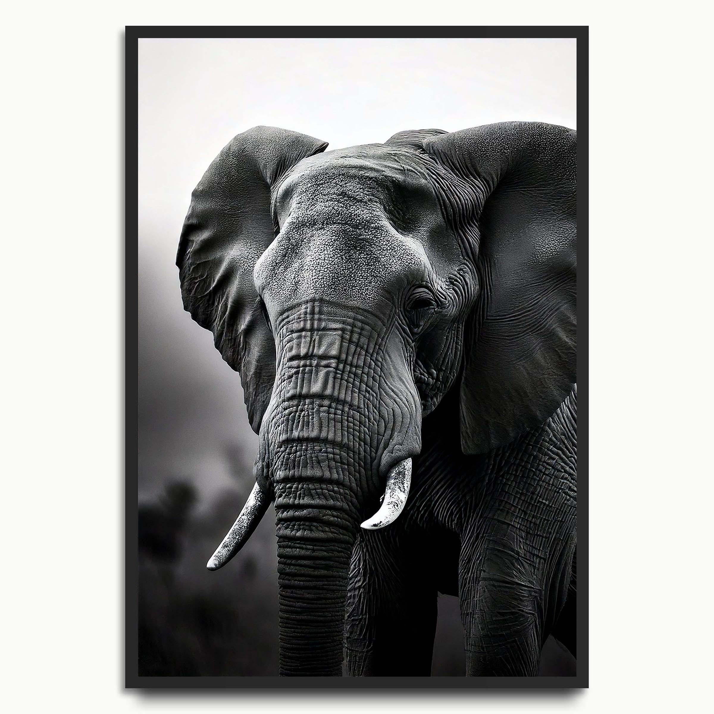 Black And White Elephant