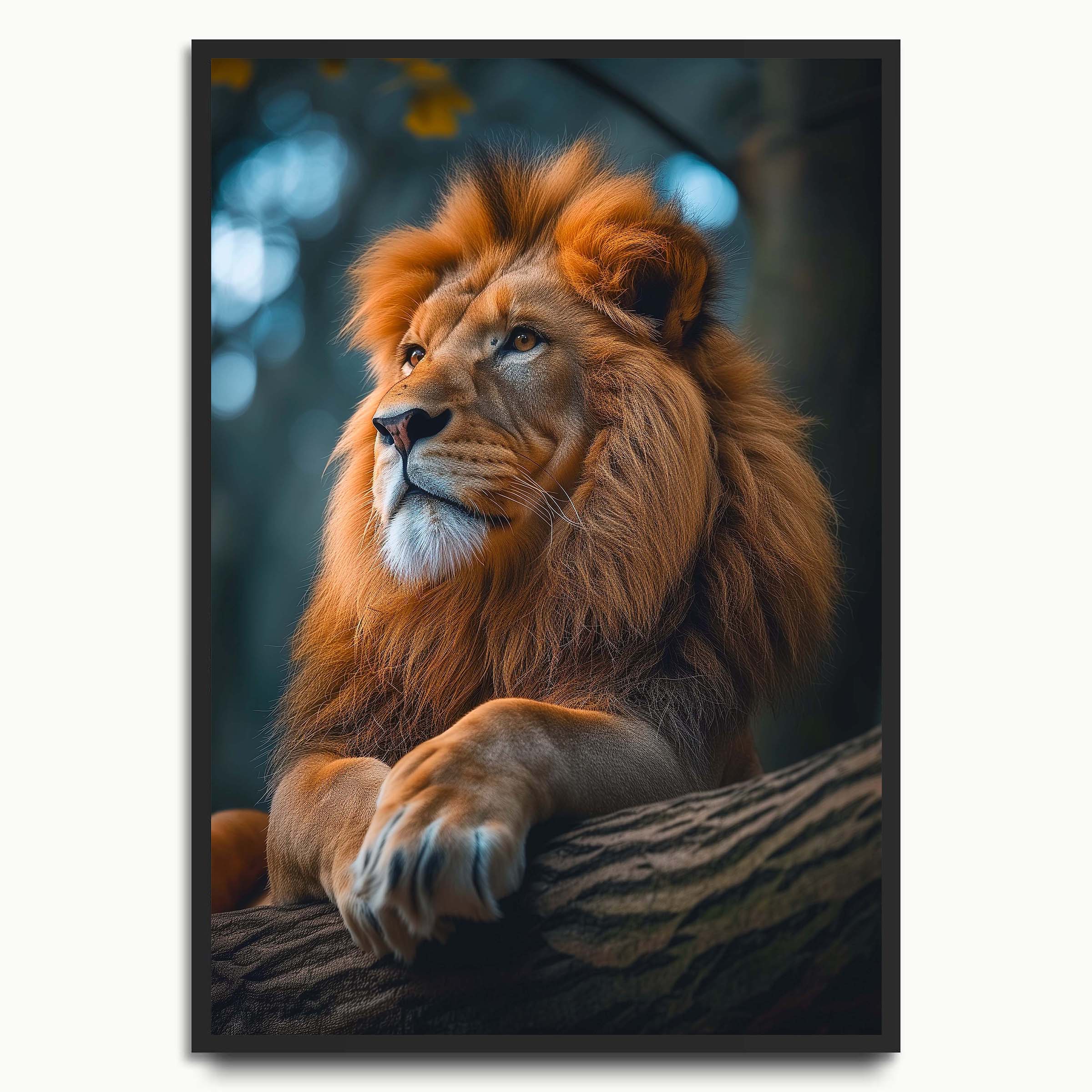 King of the Jungle