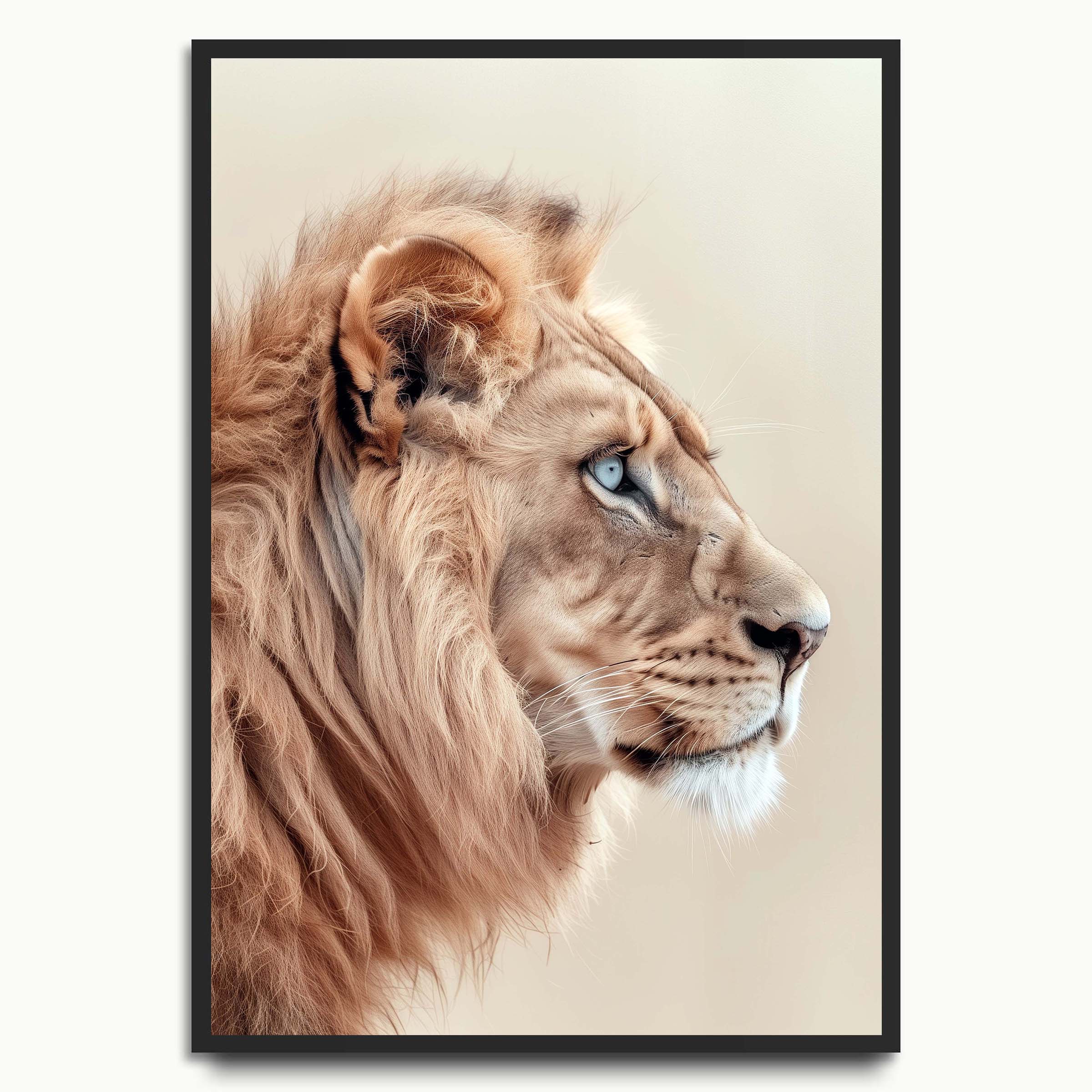 Soft Lion Profile