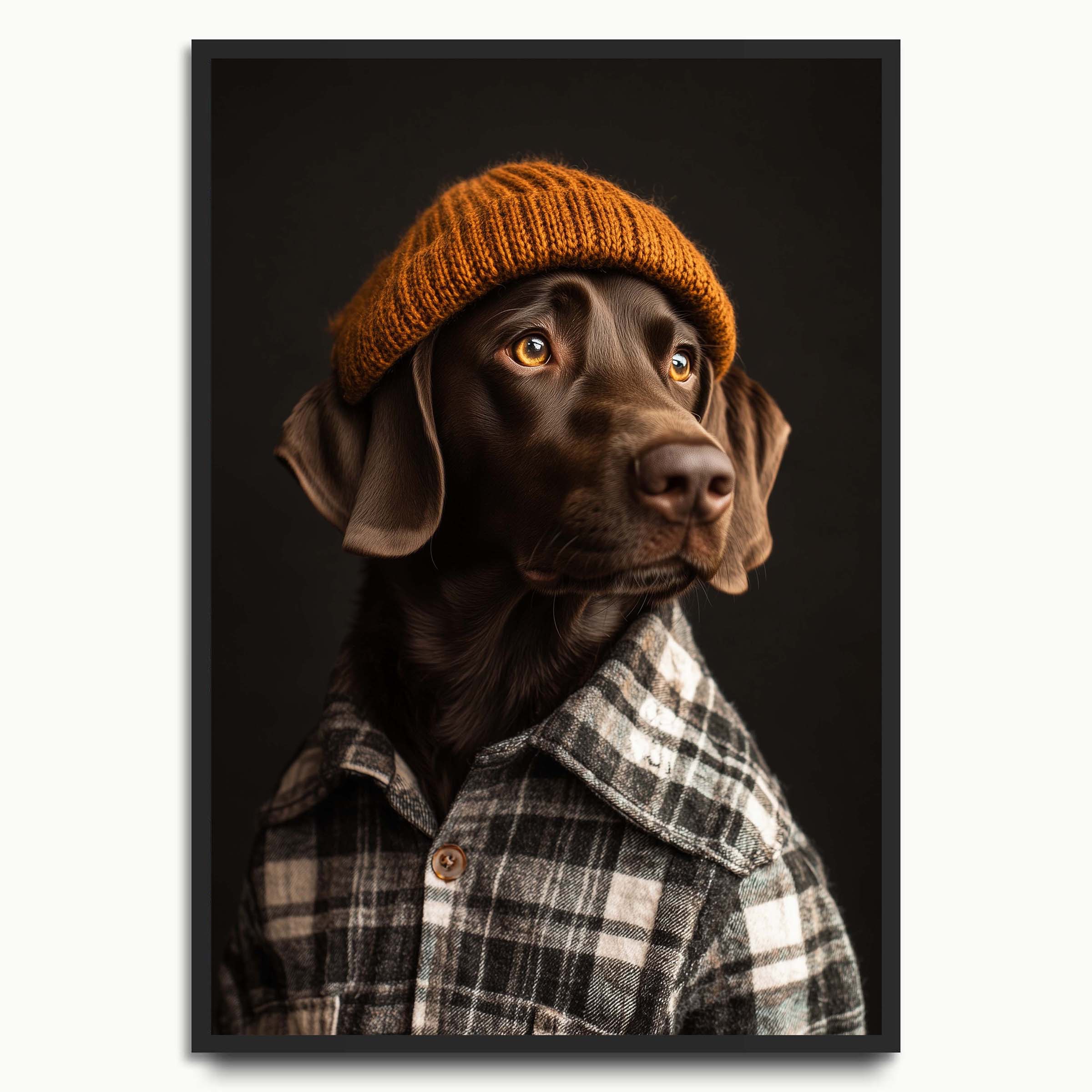 Cold Spaniel