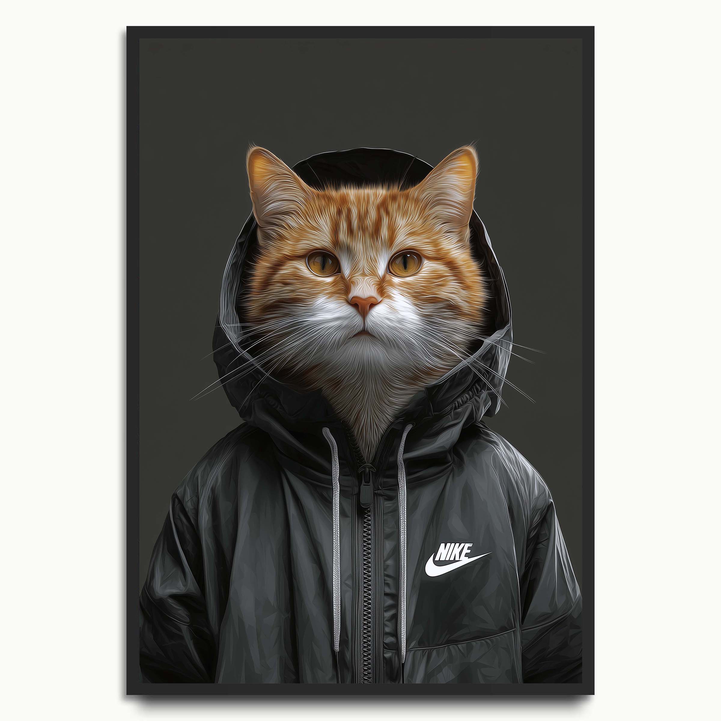 Streetwear Cat