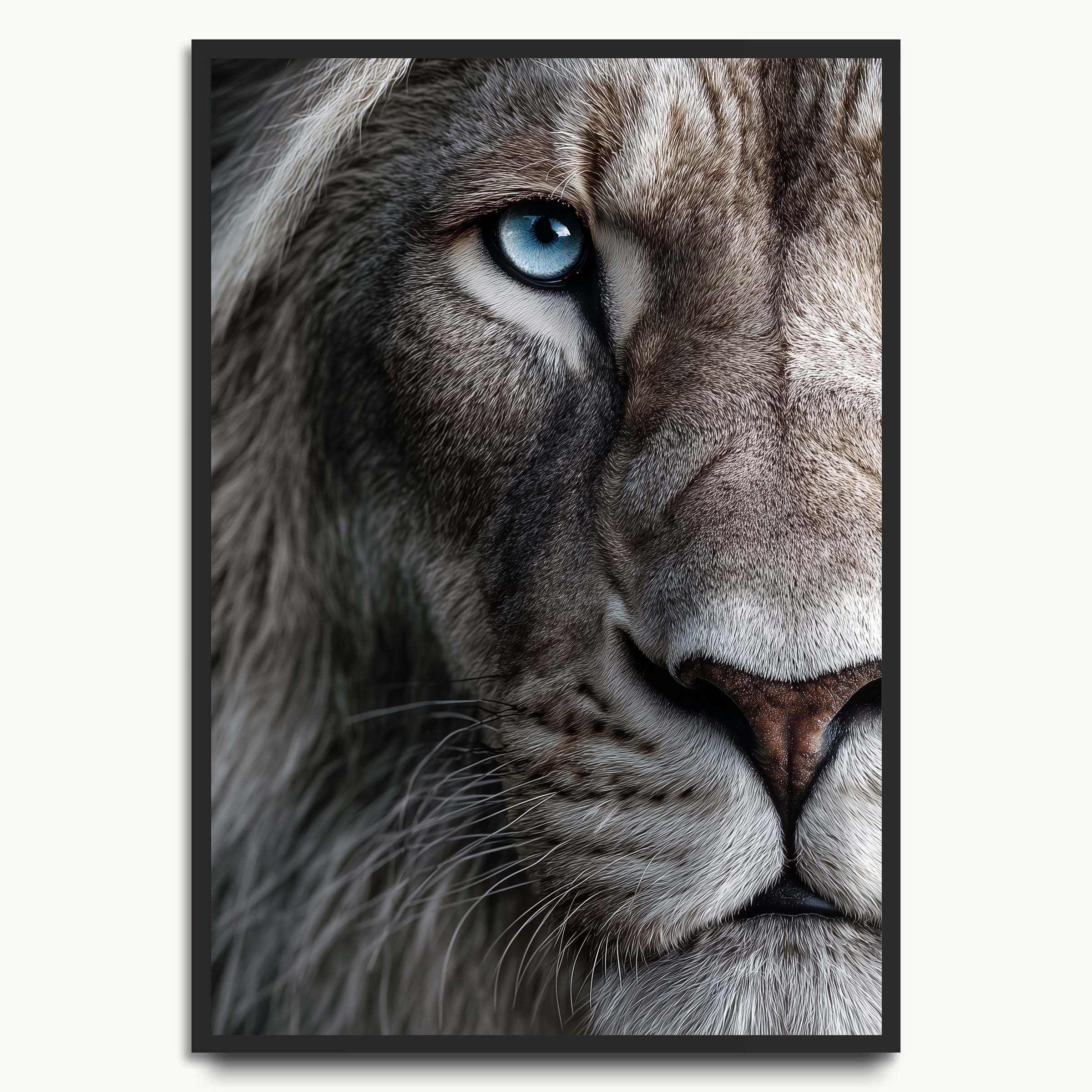 White Tiger Gaze