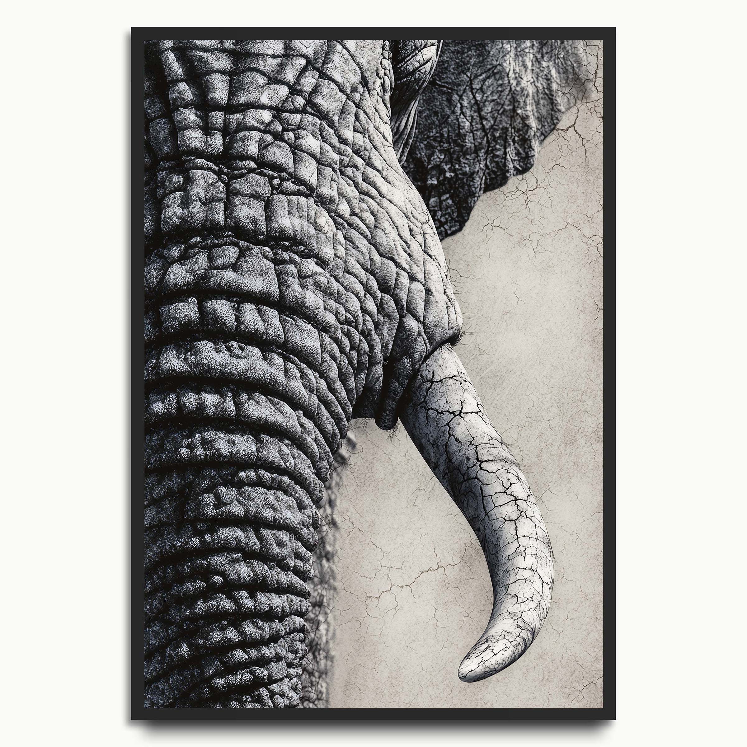 Elephant Texture