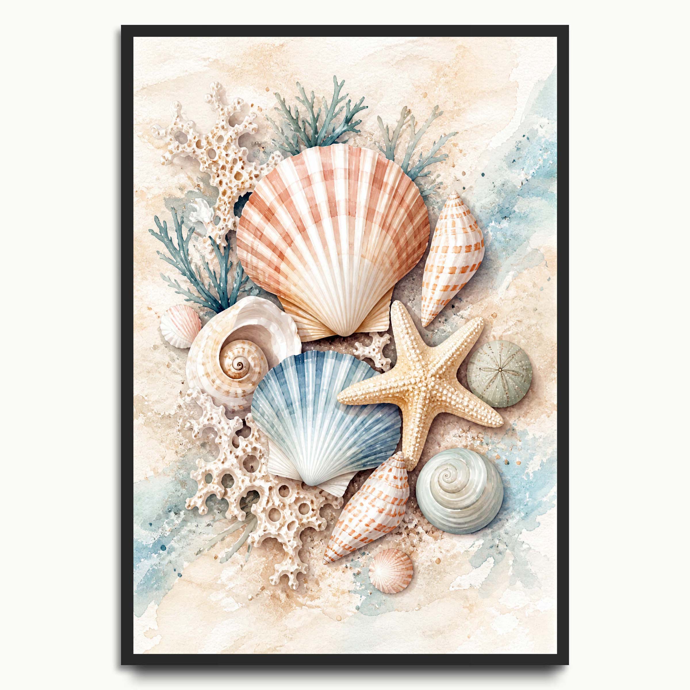 Seashell Collection