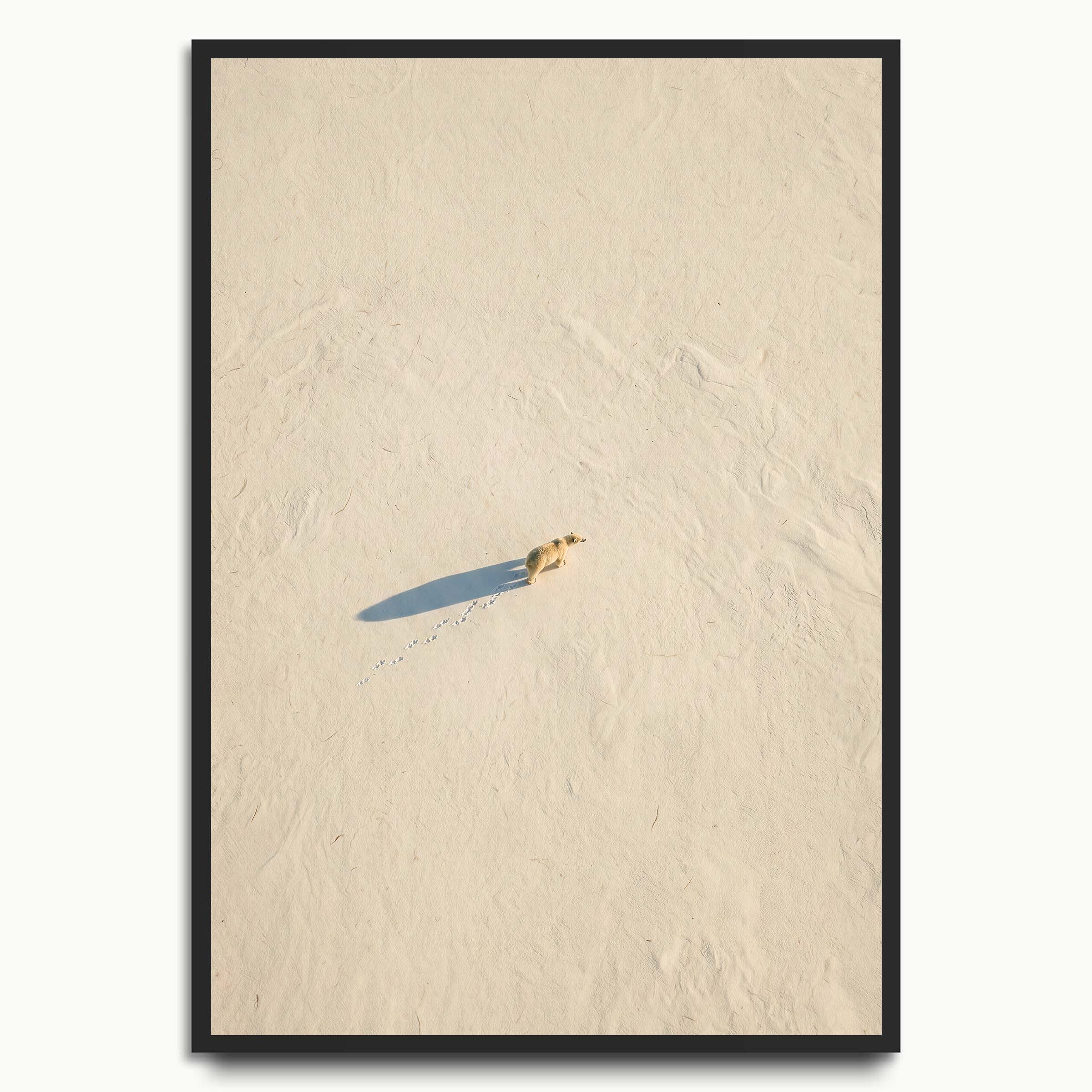 Sand Walker