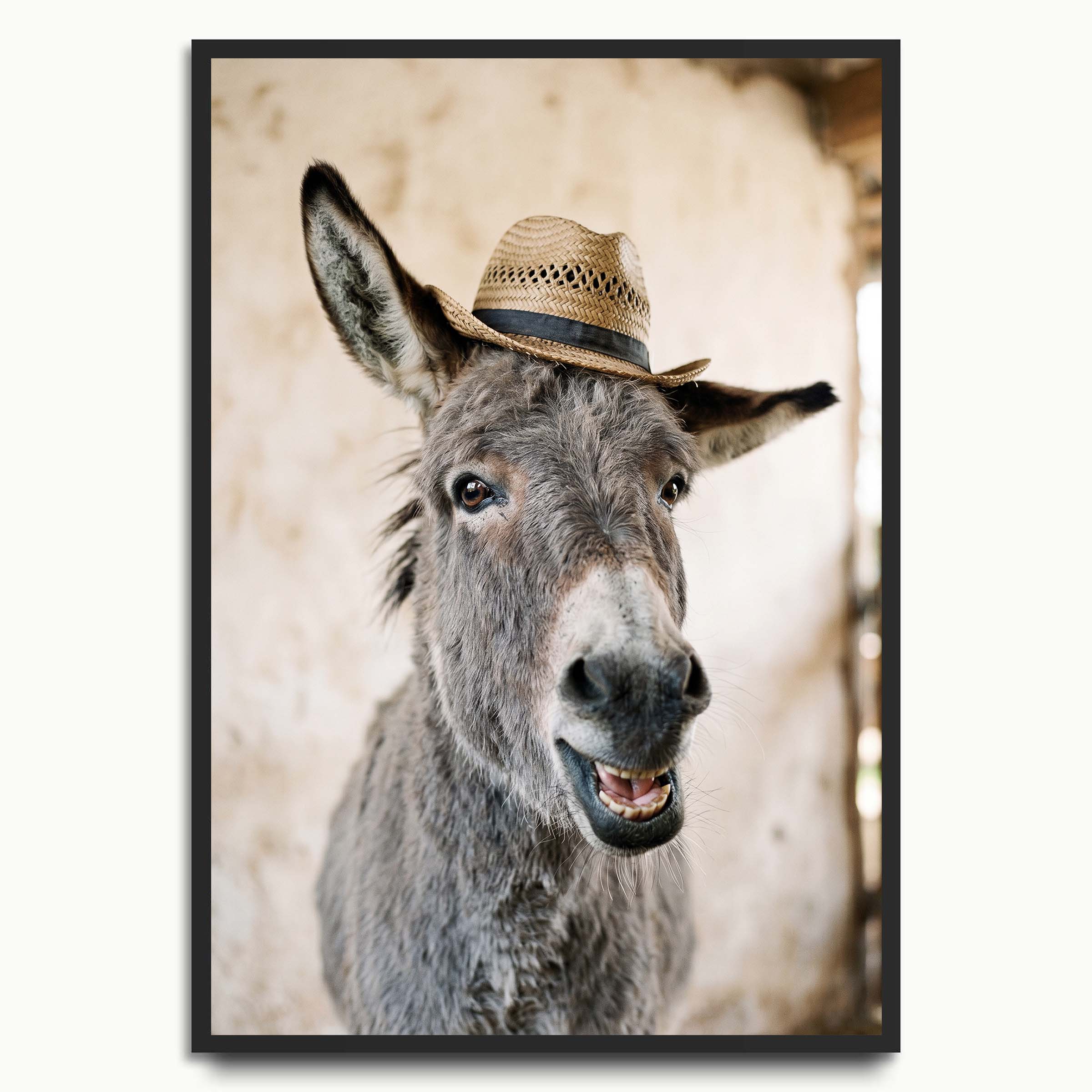 Smiling Straw Hat Donkey