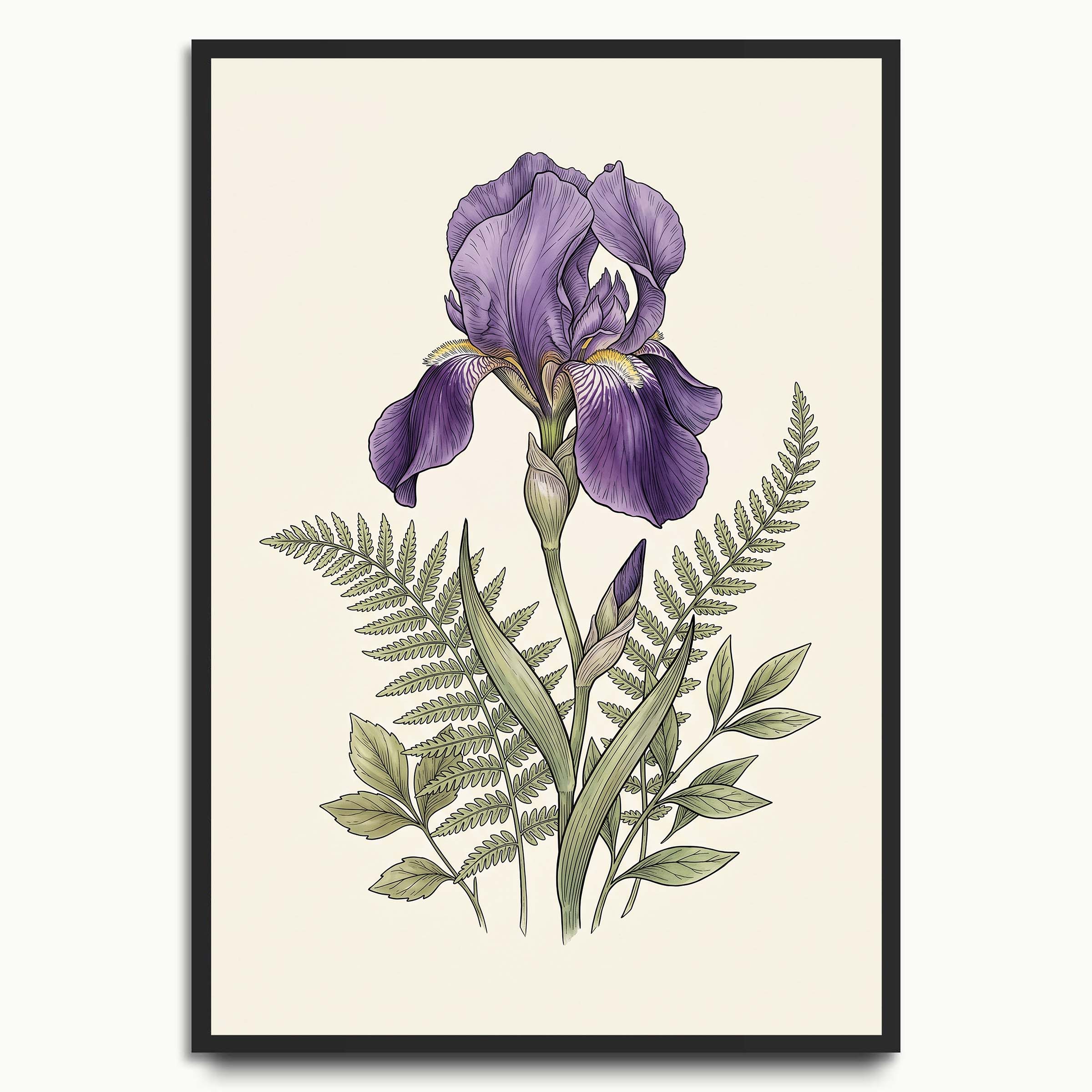 Purple Iris