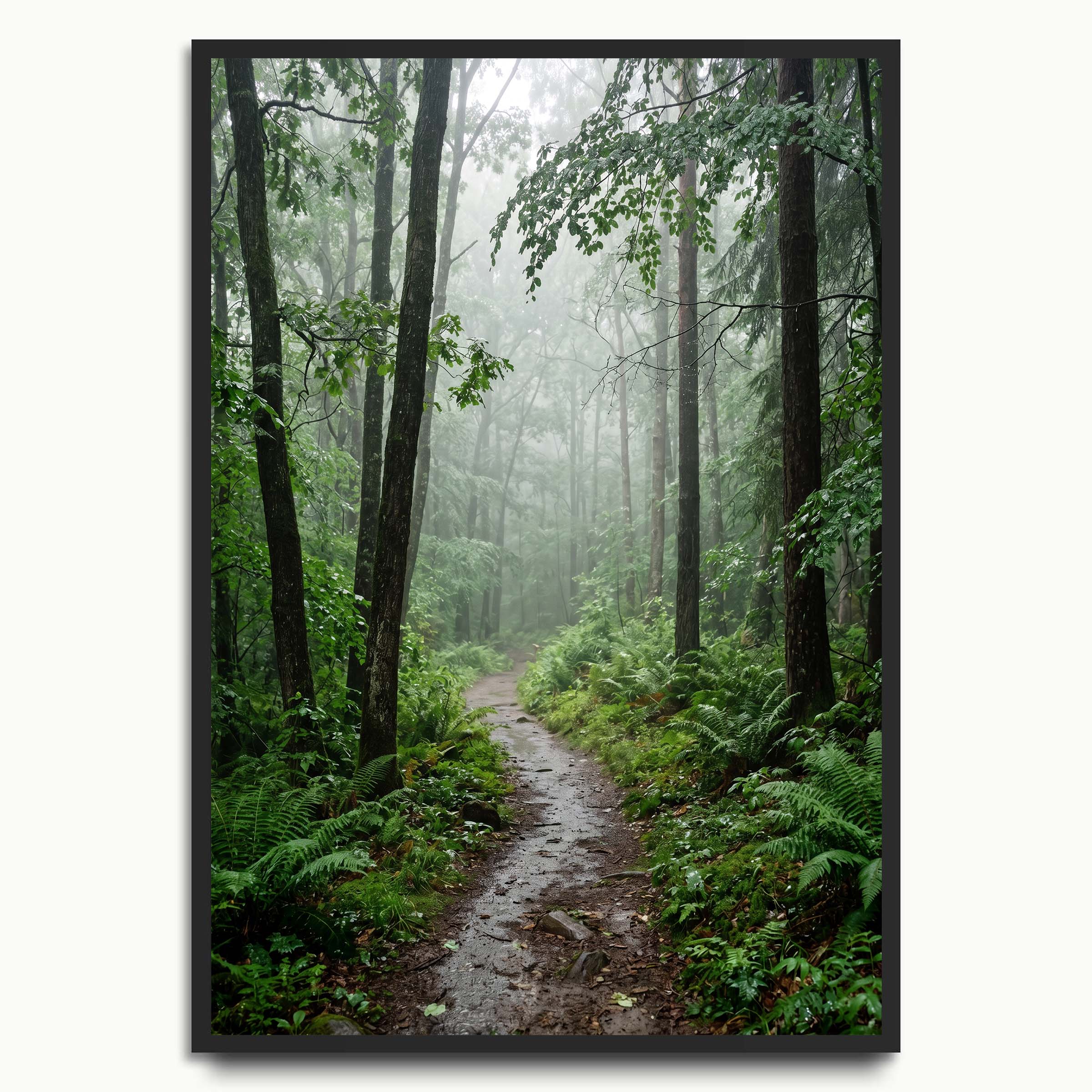 Rainforest Path
